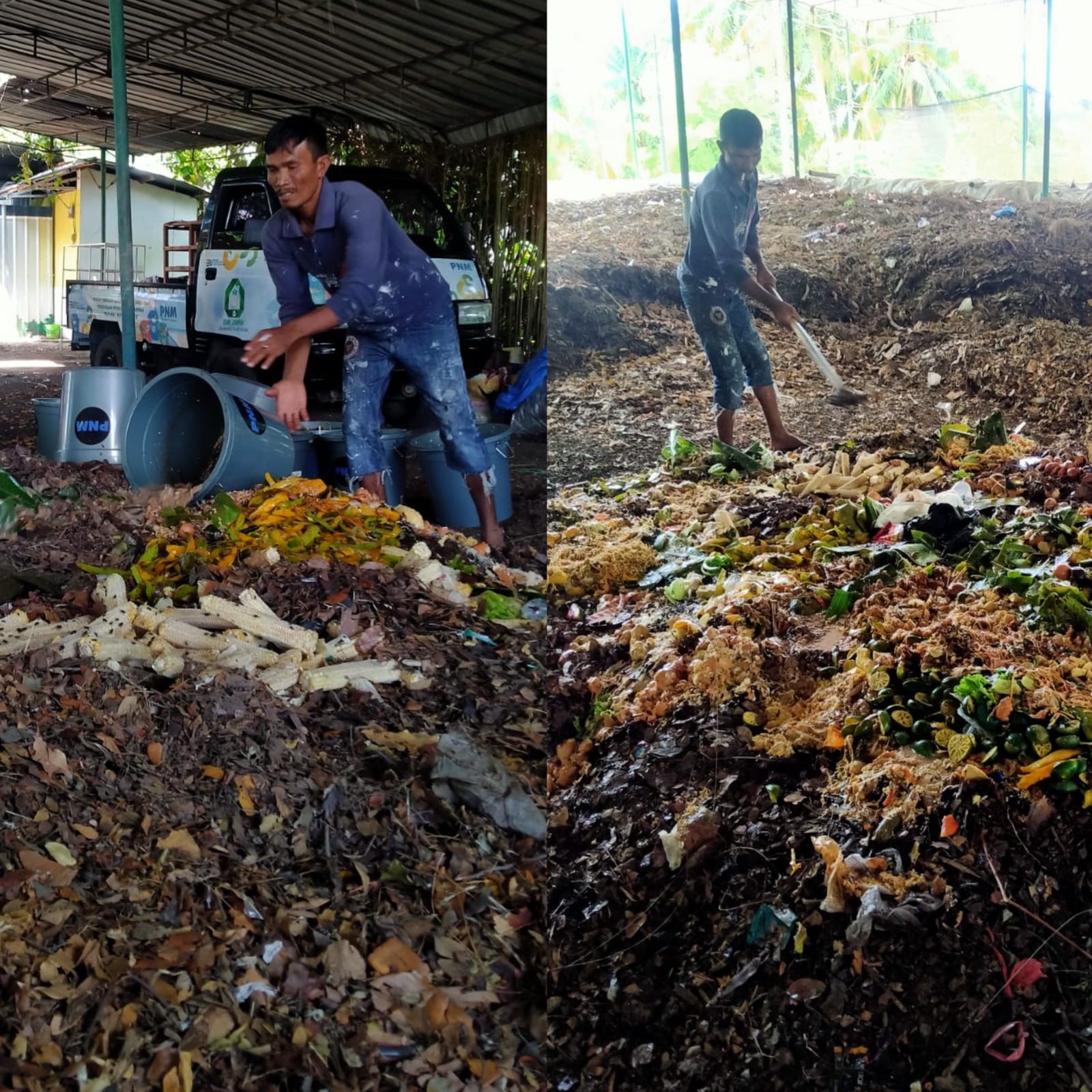 Organic waste processed